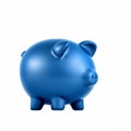 Blue Piggy Bank