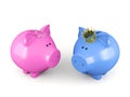 Blue piggy bank and pink piggy bank wearing a crown standing isolated on white background