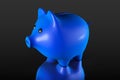 Blue Piggy bank style money box