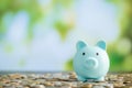 Blue piggy bank on wooden table Royalty Free Stock Photo