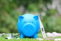 Blue piggy with thermometer and medicine on natural green background,Save money for Medical expenses and Health care concept. Royalty Free Stock Photo