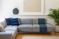 Blue pillows on grey corner couch in living room interior with p Royalty Free Stock Photo