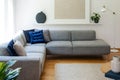 Blue pillows on grey corner sofa in apartment interior with lamp and plant next to poster. Real photo