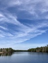 Blue Pine Barrens River