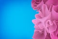 Blue and pink abstraction. Rose flounces or petals on a blue background.