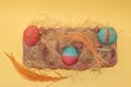 blue pink eggs and pink egg box with decorative straw, creative easter concept Royalty Free Stock Photo