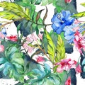 Blue and pink exotic tropical hawaiian floral flower. Watercolor illustration set. Seamless background pattern. Royalty Free Stock Photo