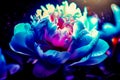 Blue and pink flower with drops of water on it's petals. Generative AI Royalty Free Stock Photo