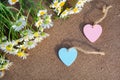 blue and pink heart on a textured brown background with daisies in defocus Royalty Free Stock Photo
