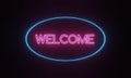 Blue and pink neon Welcome sign against black background