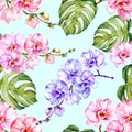 Blue and pink orchid flowers and monstera leaves on light blue background. Seamless floral pattern. Watercolor painting. Royalty Free Stock Photo