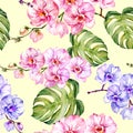 Blue and pink orchid flowers and monstera leaves on light yellow background. Seamless floral pattern. Watercolor painting. Royalty Free Stock Photo