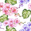 Blue and pink orchid flowers and monstera leaves on white background. Seamless floral pattern. Watercolor painting. Royalty Free Stock Photo