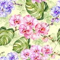 Blue and pink orchid flowers with outlines and large green monstera leaves on light green background. Seamless pattern.