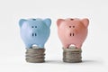 Blue and pink piggy bank on stack of coins - Gender pay equality concept Royalty Free Stock Photo