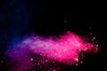 Blue pink powder explode cloud on black background.Launched blue pink dust particles splash on background Royalty Free Stock Photo