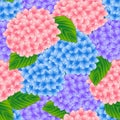 Blue, Pink and Purple Hydrangea Flower Seamless Background. Vector Illustration Royalty Free Stock Photo