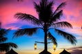 Blue pink and red sunset over sea beach with palm Royalty Free Stock Photo