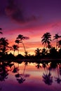 Blue pink and red sunset over sea beach with palms Royalty Free Stock Photo