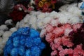 Blue, Pink, Red and White Bunches of Flowers, Municipal Market, near Rue Heliodoro Salgado,Panaji, Goa, India Royalty Free Stock Photo