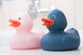 blue and pink rubber duck toys couple on bath Royalty Free Stock Photo