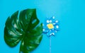 Blue pinwheel toy and palm leaf Royalty Free Stock Photo