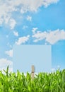Blue placard in grass Royalty Free Stock Photo