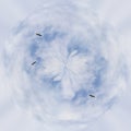 Blue planet in white clouds. Seagulls fly Royalty Free Stock Photo