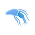 Blue plankton with a long body. Vector illustration on white background.