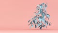 blue plant on pink background