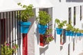 Blue plantpots against whitewashed walls