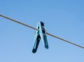 Blue plastic clothe pin on clothesline rope Royalty Free Stock Photo
