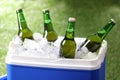 Blue plastic cool box with bottles of beer and ice cubes on blurred green background Royalty Free Stock Photo