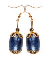Blue plastic earrings with gold elements on a white background Royalty Free Stock Photo