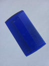 Blue plastic nit comb for removing lice and lice eggs. Isolated on white background. Royalty Free Stock Photo