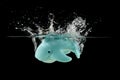 Blue plastic rubber toy whale splashing in water with squirts and bubbles, fun for kids in the bath tub or at the splash pad. Royalty Free Stock Photo