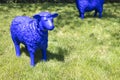 Blue plastic sheep in green field