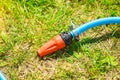 Blue plastic sprayer for gardening Royalty Free Stock Photo