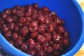 A blue plastic wash bowl with pitted cherries, cooking process. Royalty Free Stock Photo