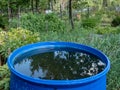 Blue, plastic water barrel reused for collecting and storing rainwater for watering plants in green summer surroundings