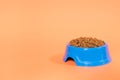 Blue plate for animal feed on an orange background with place for text for the pet shop. Dry food for cats and kittens.