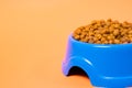 Blue plate for animal feed on an orange background with place for text for the pet shop. Dry food for cats and kittens.