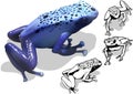 Blue Poison Dart Frog Set