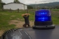 Blue police flashing light on with the background of a girl being arrested