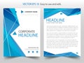 Blue polygon abstract Vector Brochure annual report Leaflet Flyer template design, book cover layout design, abstract presentation Royalty Free Stock Photo