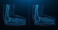 Blue polygonal illustration of the elbow joint