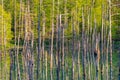 Blue pond Aoiike with reflection of tree in summer, located near Shirogane Onsen in Biei Town