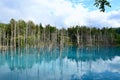 Blue Pond in Biei, Shirogane.