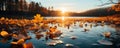 Blue pond covered with fallen leaves in autumn park at sunset