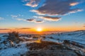 Winter sunrise panorama with mans' best friend Royalty Free Stock Photo